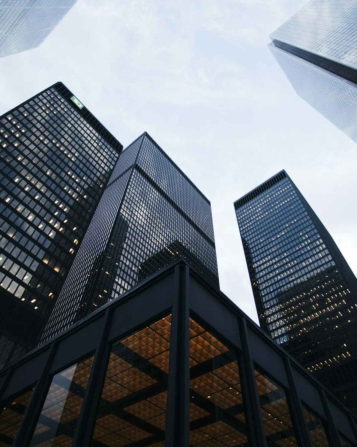 Build globally scalable ventures