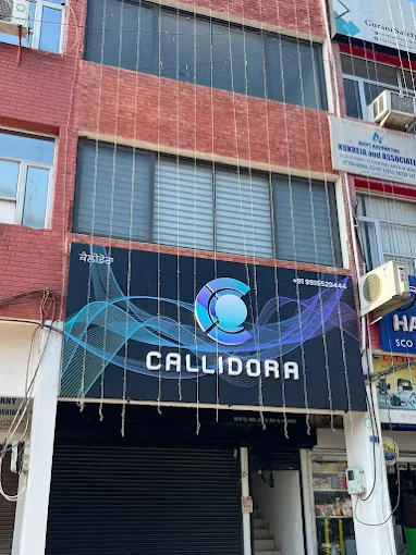 Callidora International New York Headquarters